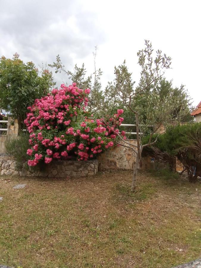 Apartments Villa Brudi Vinišće Dış mekan fotoğraf
