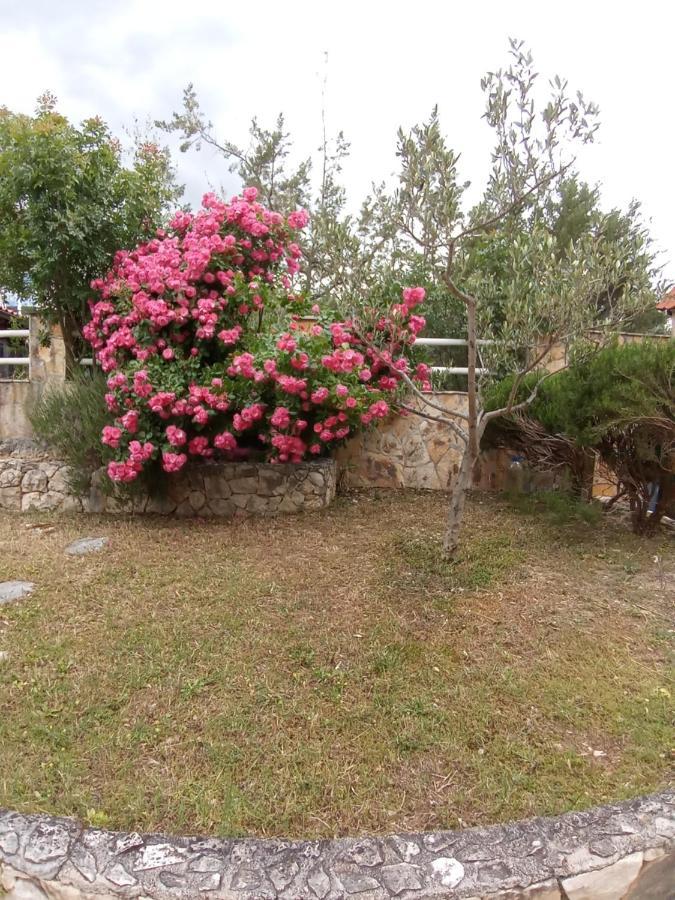 Apartments Villa Brudi Vinišće Dış mekan fotoğraf